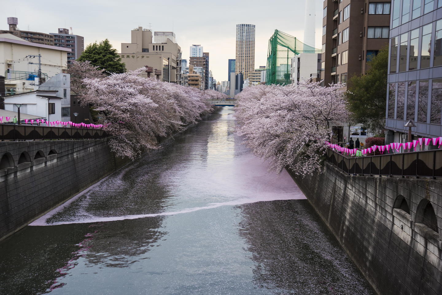 Tokyo Megurogawa